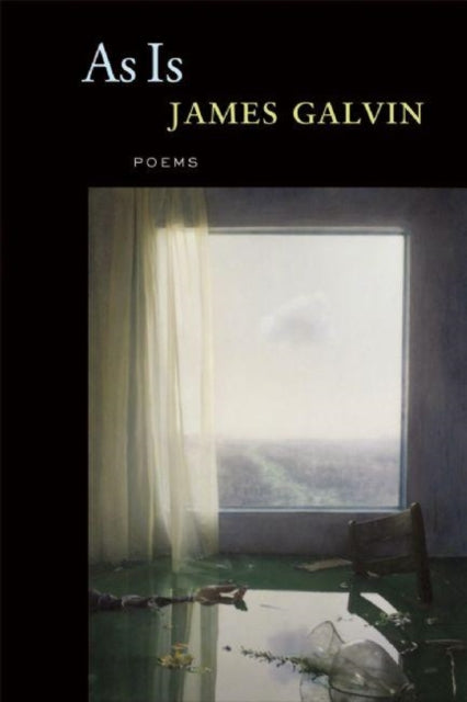 Book cover of: As Is. By: James Galvin