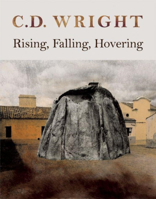 Book cover of: Rising, Falling, Hovering