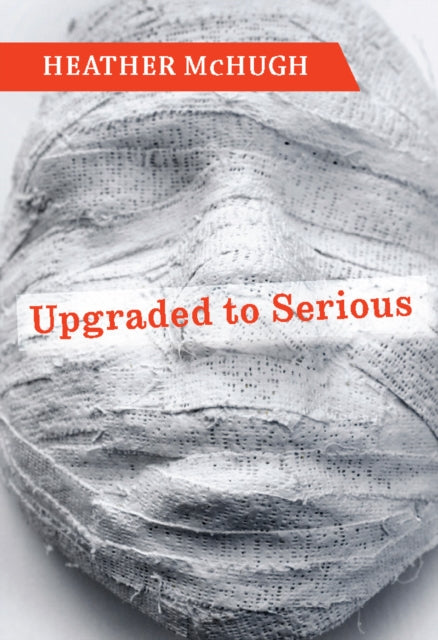 Book cover of: Upgraded to Serious