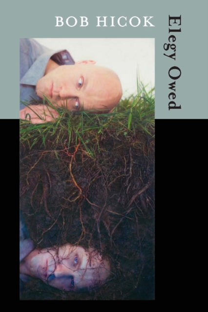 Book cover of: Elegy Owed. By: Bob Hicok