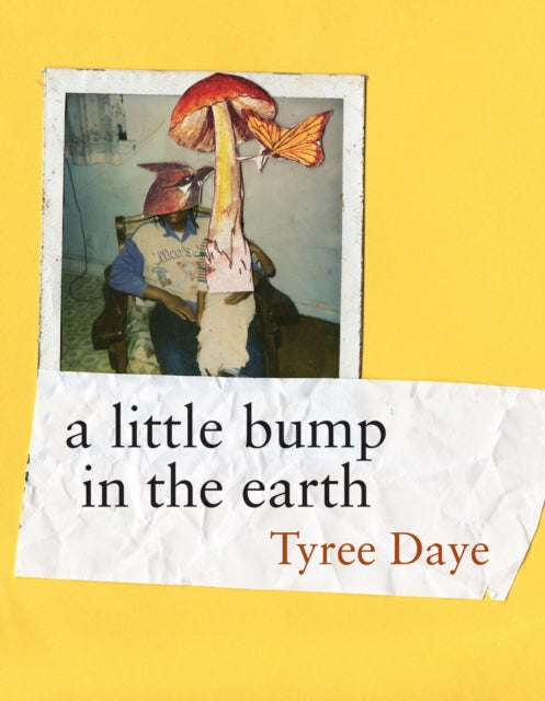 Book cover of: little bump in the earth. By: Tyree Daye