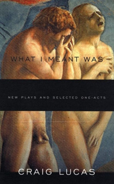 Book cover of: What I Meant Was