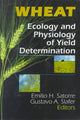 Book cover of: Wheat