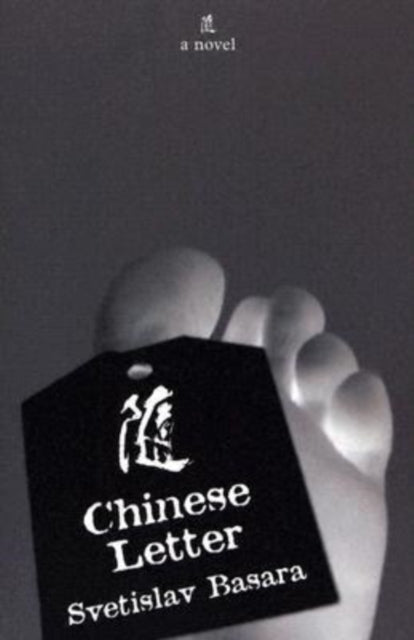 Book cover of: Chinese Letter