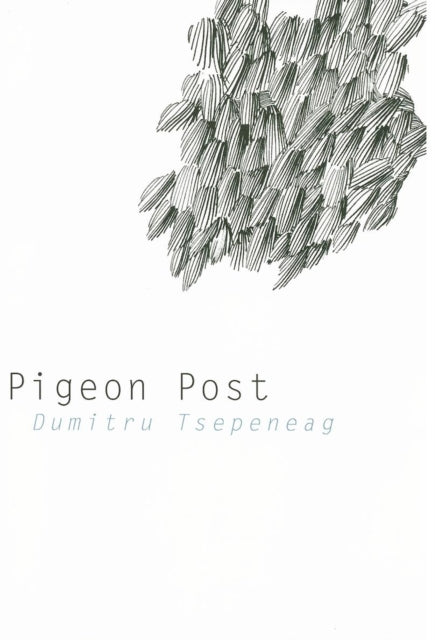 Book cover of: Pigeon Post. By: Dumitru Țepeneag