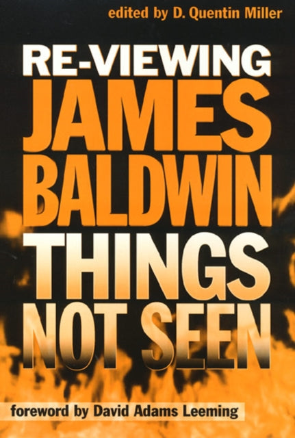 Book cover of: Re-Viewing James Baldwin. By: David Adams Leeming