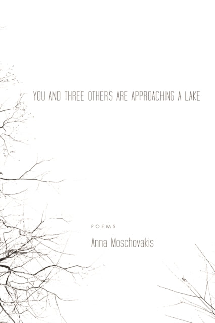 Book cover of: You and Three Others Are Approaching a Lake