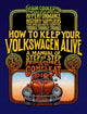 How to Keep Your Volkswagen Alive