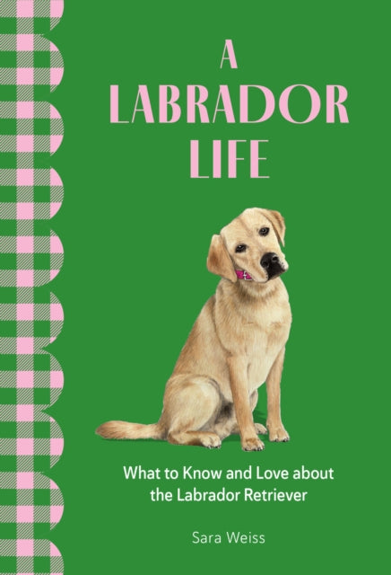 Labrador Life, What to Know and Love About the Labrador Retriever 9781577155041 Sara Weiss