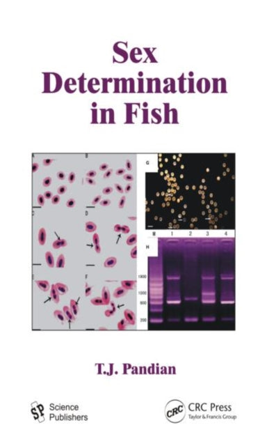 Book cover of: Sex Determination in Fish. By: T. J. Pandian