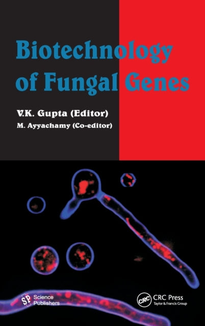 Book cover of: Biotechnology of Fungal Genes. By: Vijai Kumar Gupta