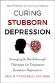 Book cover of: Curing Stubborn Depression. By: Paul Fitzgerald