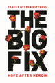 Book cover of: Big Fix. By: Tracey Helton Mitchell