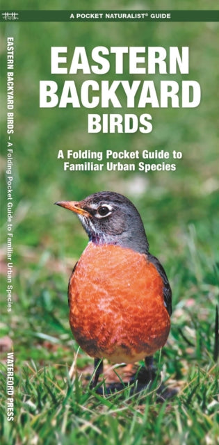 Book cover of: Eastern Backyard Birds. By: James Kavanagh
