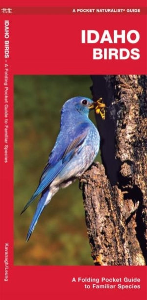 Idaho Birds