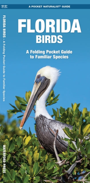 Book cover of: Florida Birds. By: James Kavanagh