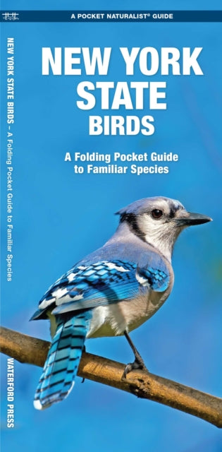 Book cover of: New York State Birds. By: James Kavanagh