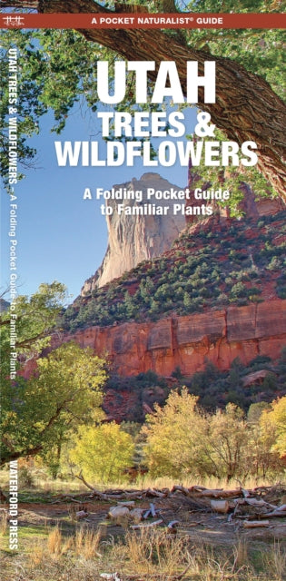 Book cover of: Utah Trees & Wildflowers. By: James Kavanagh