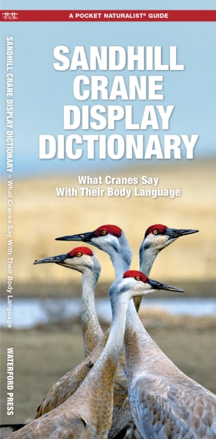 Sandhill Crane Display Dictionary