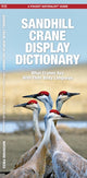 Book cover of: Sandhill Crane Display Dictionary