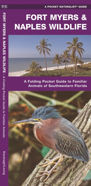 Fort Myers & Naples Wildlife