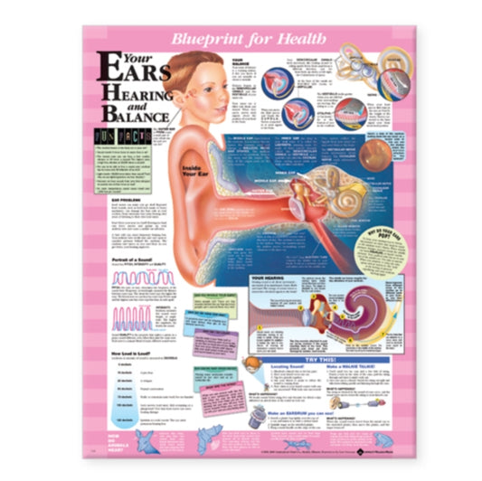 Book cover of: Blueprint for Health Your Ears Chart. By: Anatomical Chart Company