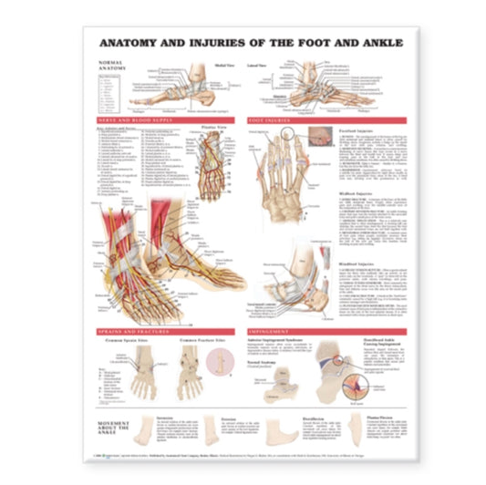 Book cover of: Anatomy and Injuries of the Foot and Ankle. By: Anatomical Chart Company