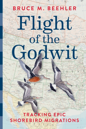 Flight of the Godwit, Tracking Epic Shorebird Migrations