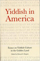 Book cover of: Yiddish in America. By: Edward S. Shapiro