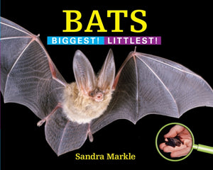Bats