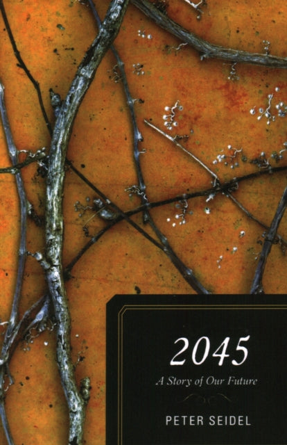 Book cover of: 2045. By: Seidel, Peter