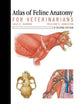 Book cover of: Atlas of Feline Anatomy For Veterinarians. By: Lola Hudson