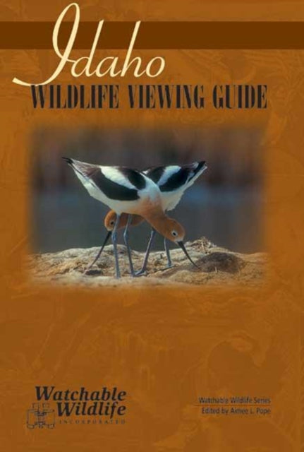 Book cover of: Idaho Wildlife Viewing Guide. By: Aimee L. Pope