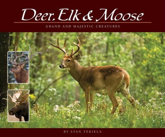 Book cover of: Deer, Elk & Moose. By: Stan Tekiela
