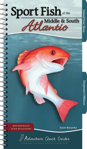 Sport Fish of the Middle & South Atlantic