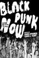 Book cover of: Black Punk Now. By: Chris L. Terry