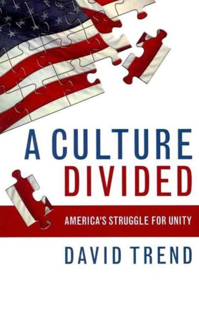 Book cover of: Culture Divided. By: David Trend