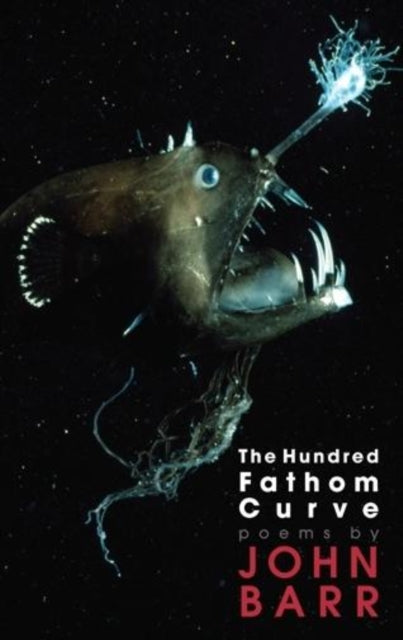 Book cover of: Hundred Fathom Curve. By: Barr, John