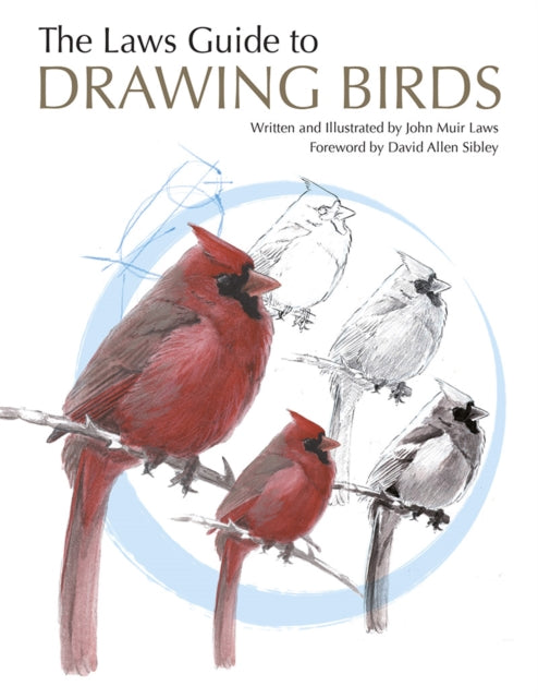 Laws Guide to Drawing Birds 9781597141956 John Muir Laws