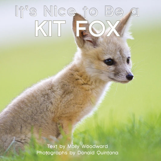 Book cover of: It's Nice to Be a Kit Fox. By: Molly Woodward