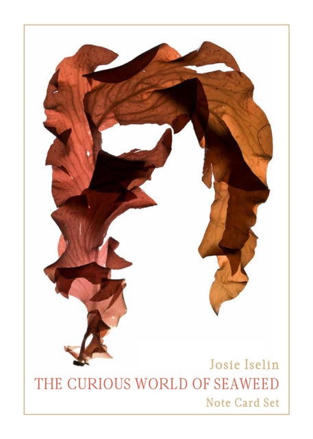 Book cover of: Curious World of Seaweed Note Card Box. By: Josie Iselin