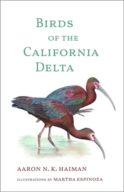 Book cover of: Birds of the California Delta