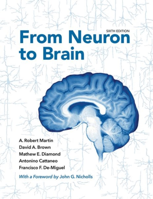 Book cover of: From Neuron to Brain. By: A. Robert Martin