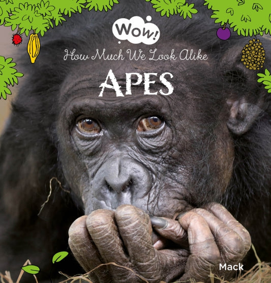 Book cover of: Wow! Apes. How Much We Look Alike. By: Mack van Gageldonk