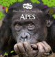 Book cover of: Wow! Apes. How Much We Look Alike. By: Mack van Gageldonk