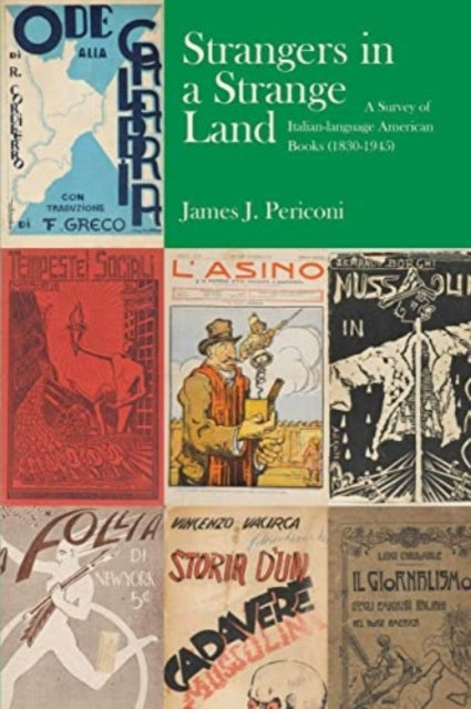 Book cover of: Strangers in a Strange Land. By: James J. Periconi