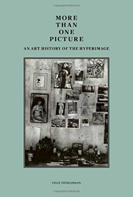 Book cover of: More than One Picture. By: Felix Thürlemann