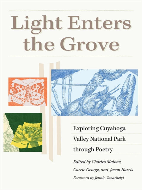 Book cover of: Light Enters the Grove