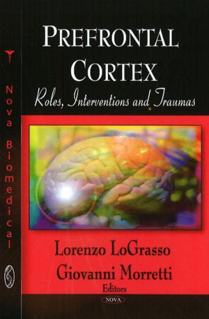 Prefrontal Cortex