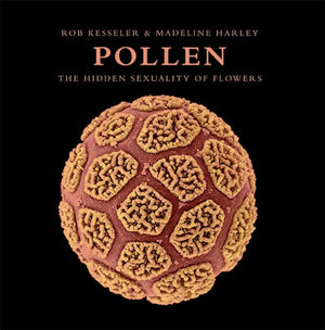 Pollen